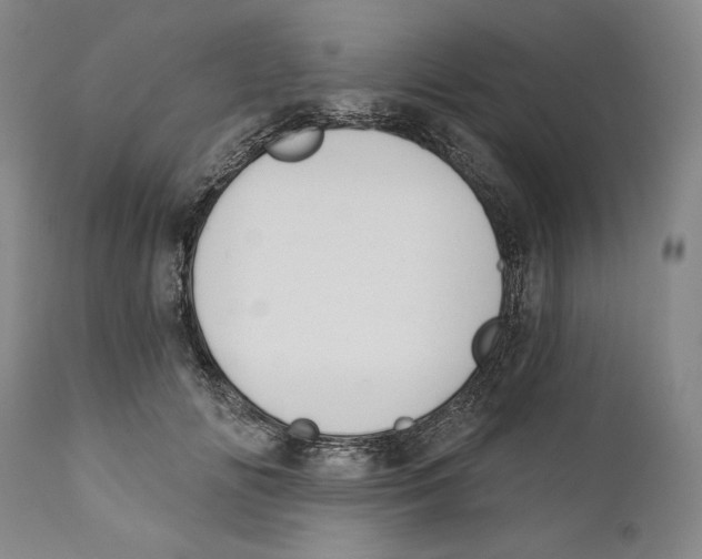 X0000110740702200907131121