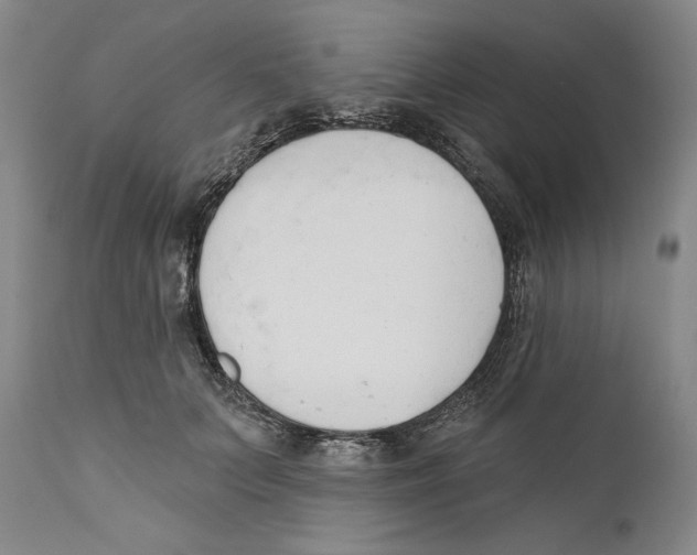 X0000110740703200907131121