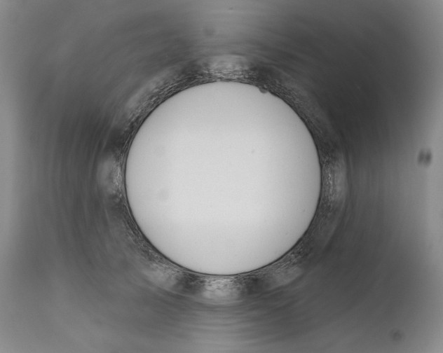 X0000110740705200907131121