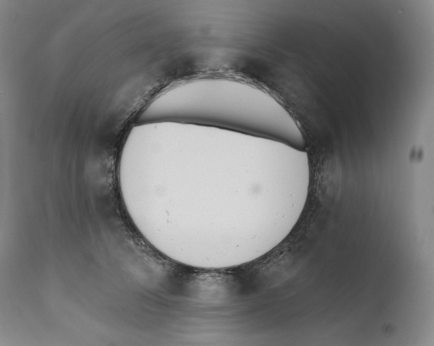 X0000110740708200907131121