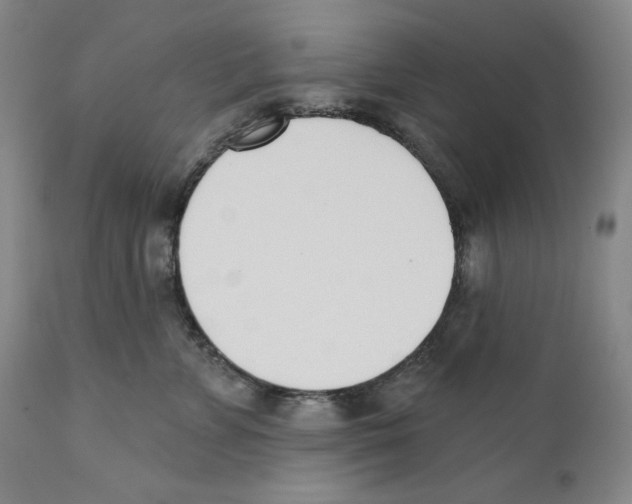 X0000110740715200907131121