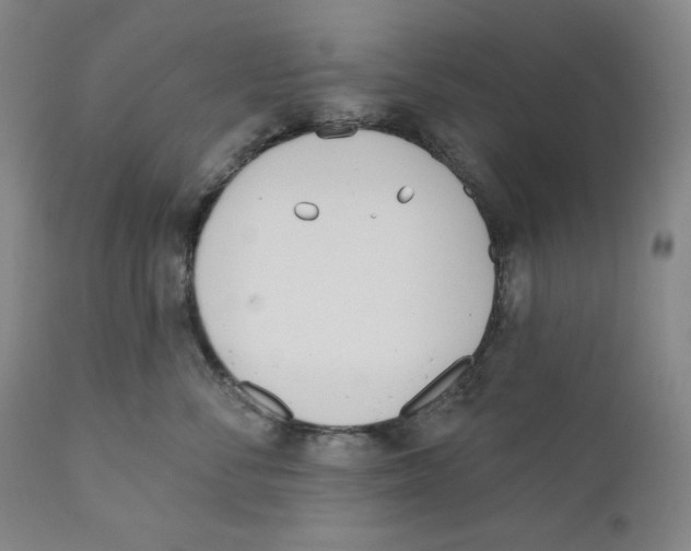 X0000110740716200907131121
