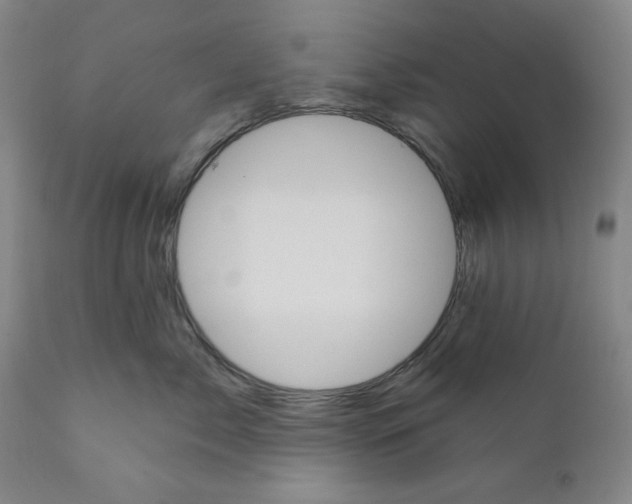 X0000110740717200907131121