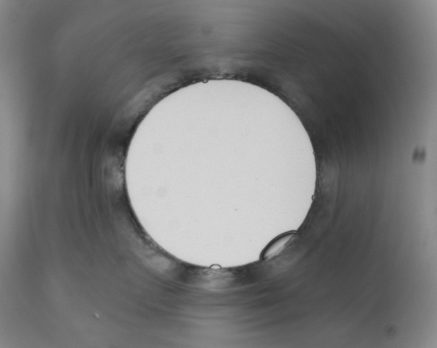 X0000110740719200907131121