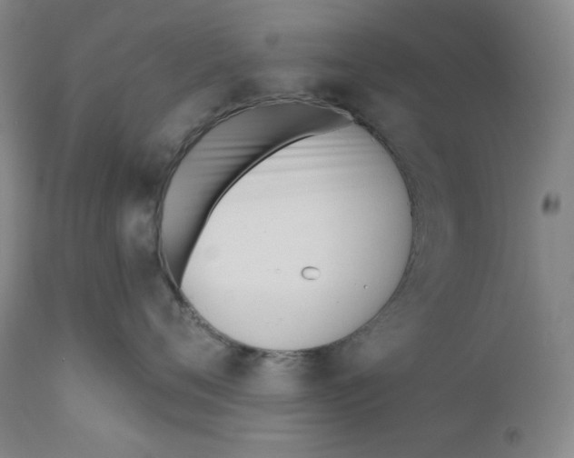 X0000110740720200907131121