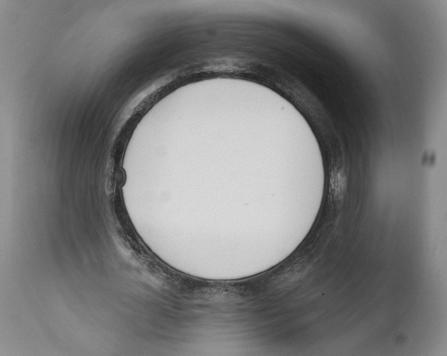 X0000110740724200907131120