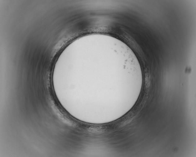 X0000110740725200907131120