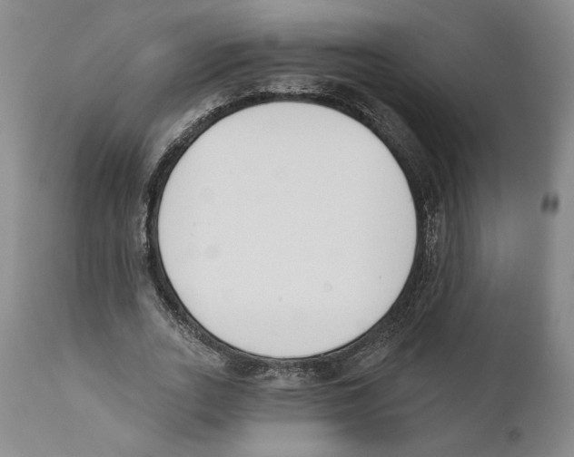 X0000110740727200907131120