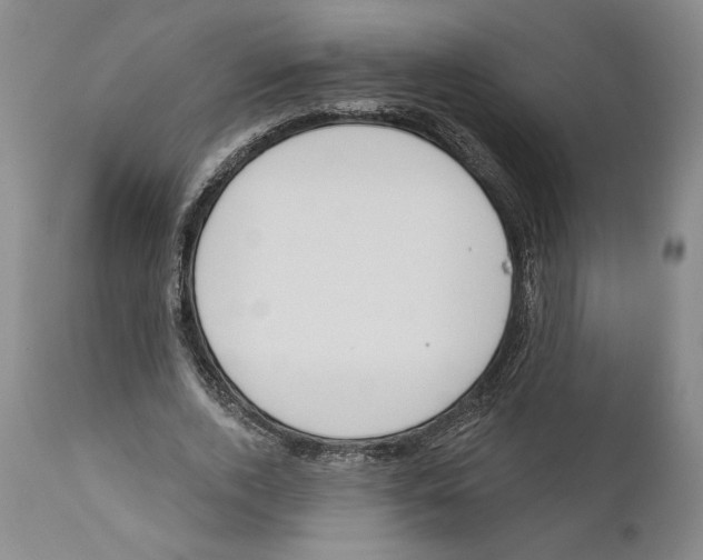 X0000110740728200907131120