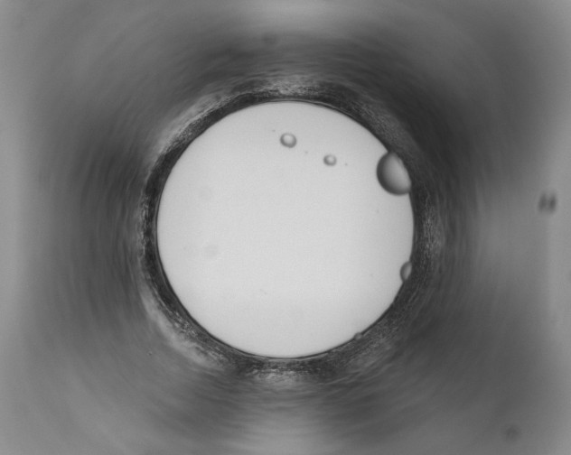 X0000110740730200907131120