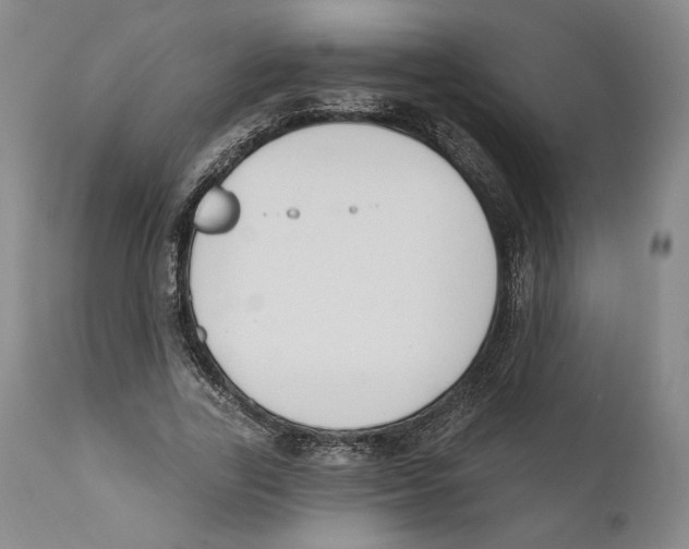 X0000110740731200907131120