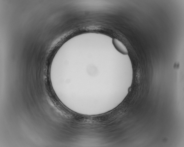 X0000110740732200907131120
