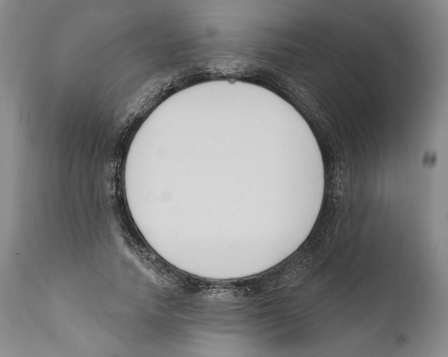 X0000110740738200907131120