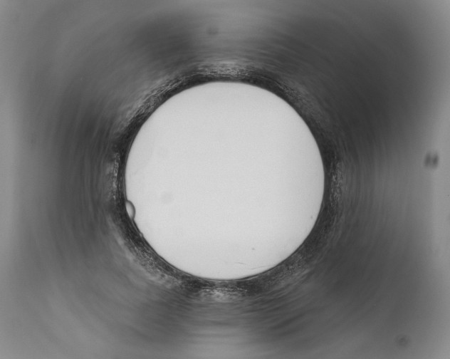 X0000110740739200907131120