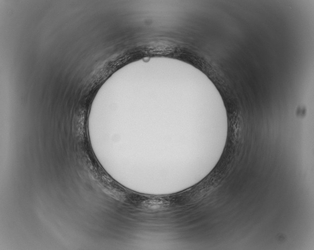 X0000110740745200907131120