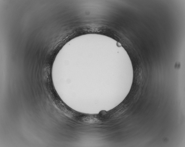 X0000110740747200907131120