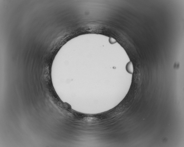 X0000110740748200907131120