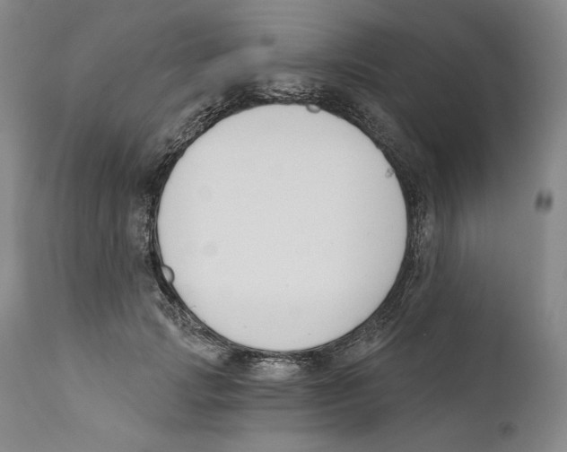 X0000110740749200907131120