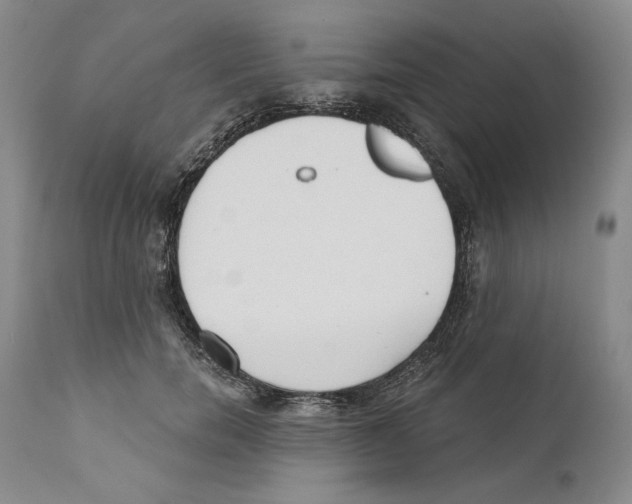 X0000110740750200907131120