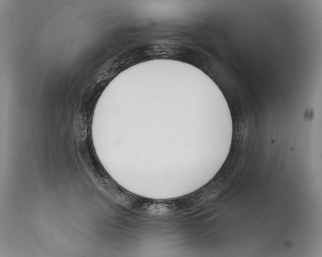 X0000110740751200907131120