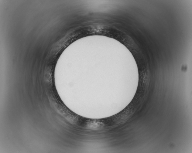 X0000110740754200907131121