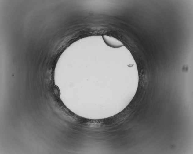 X0000110740756200907131121