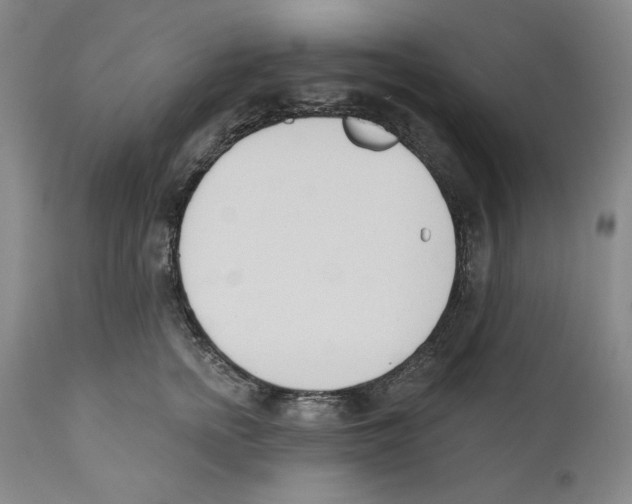 X0000110740758200907131121