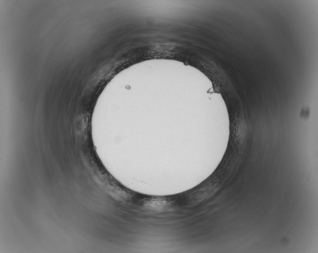 X0000110740759200907131121