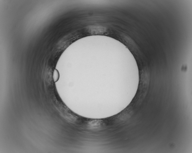 X0000110740761200907131121