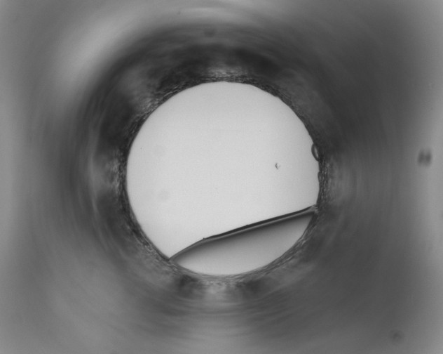 X0000110740762200907131121