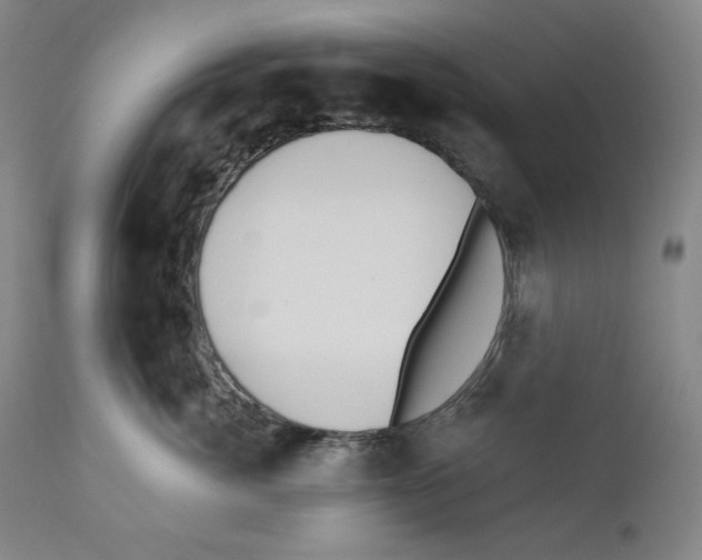 X0000110740764200907131121