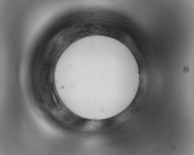 X0000110740765200907131121