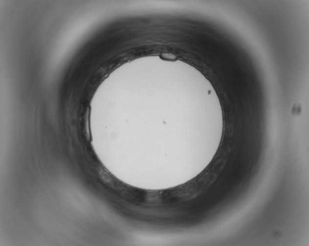 X0000110740766200907131121