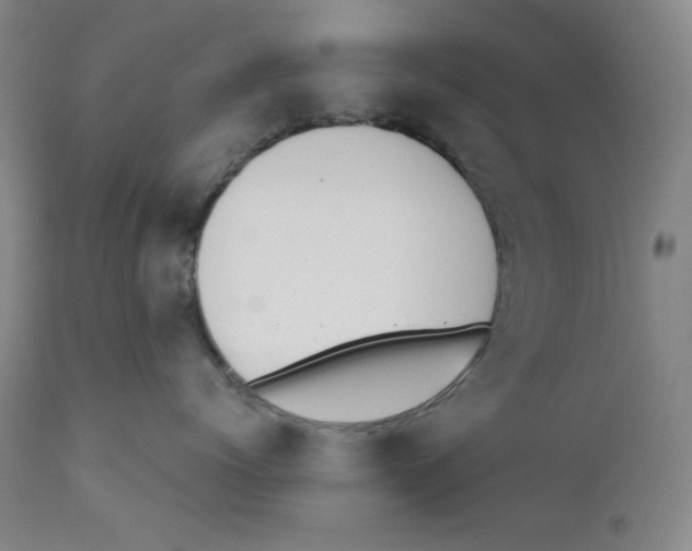 X0000110740768200907131121