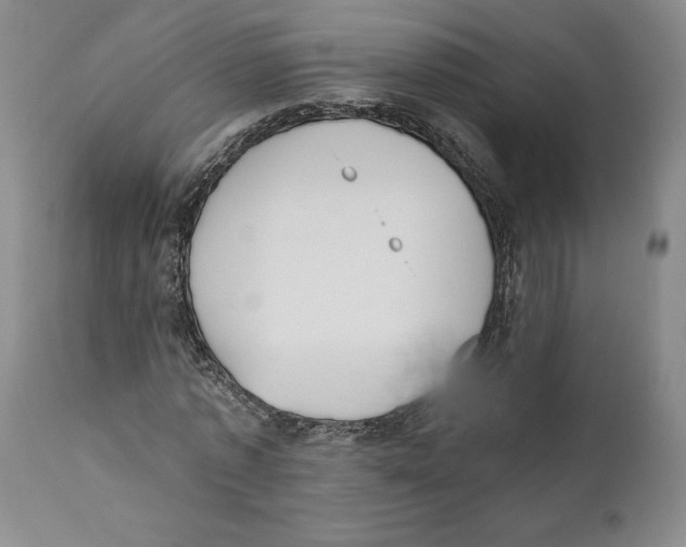 X0000110740773200907131120