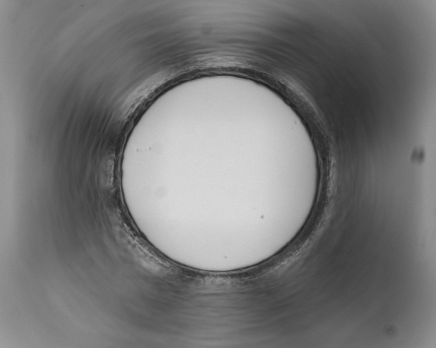X0000110740777200907131120
