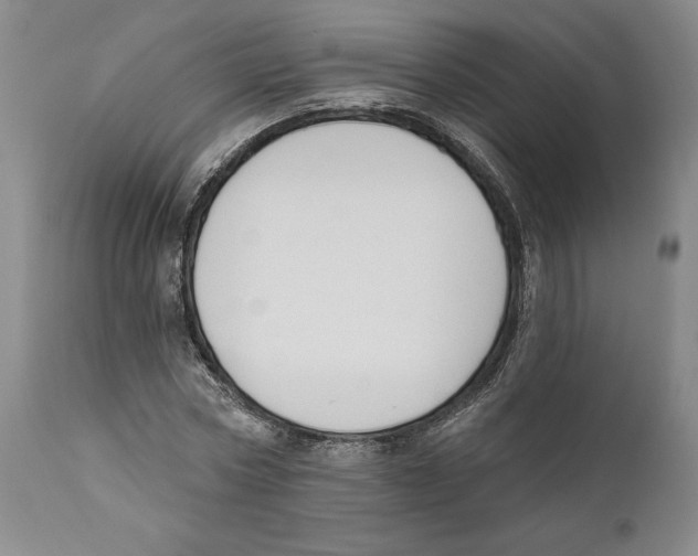 X0000110740778200907131120