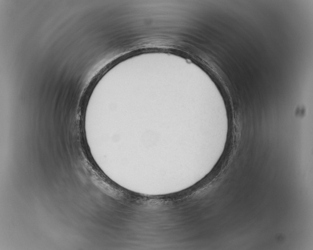 X0000110740779200907131120