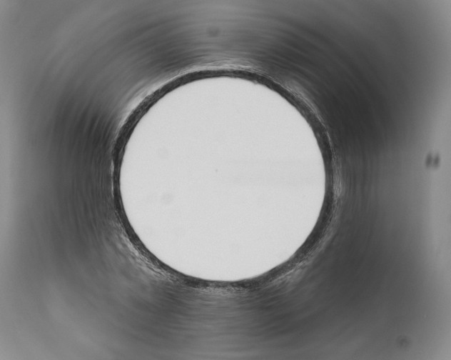 X0000110740781200907131120