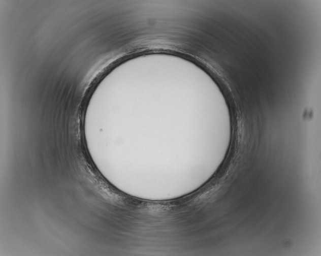 X0000110740782200907131120