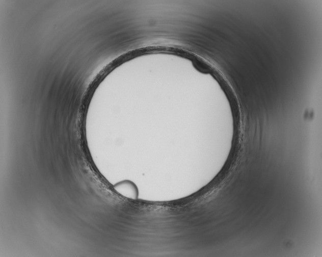 X0000110740783200907131120