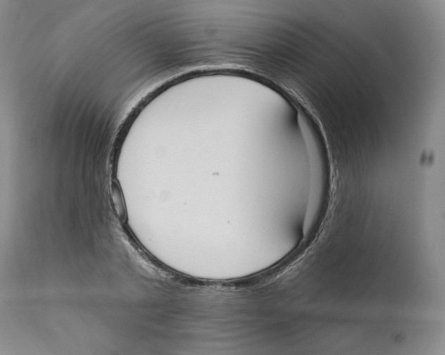 X0000110740789200907131120