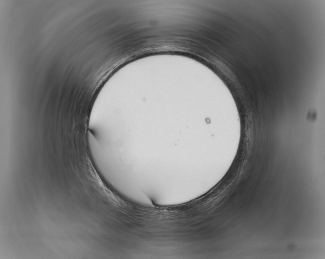 X0000110740793200907131120