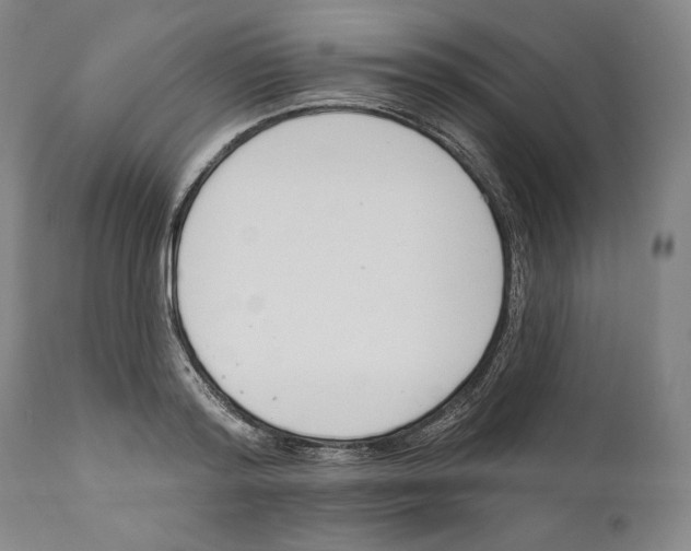 X0000110740796200907131120