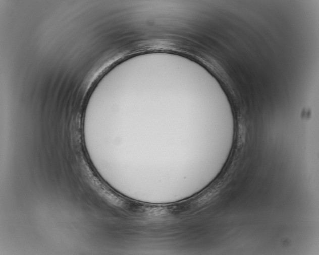 X0000110740798200907131120