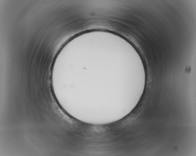 X0000110740799200907131120