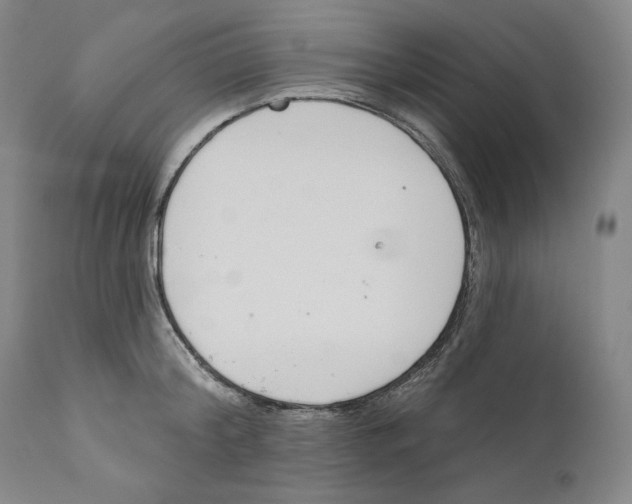 X0000110740804200907131120