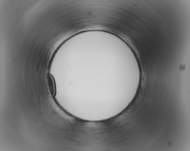 X0000110740805200907131120