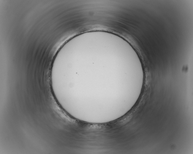 X0000110740806200907131120