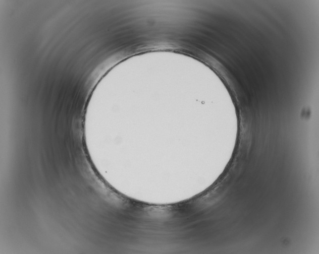 X0000110740810200907131120